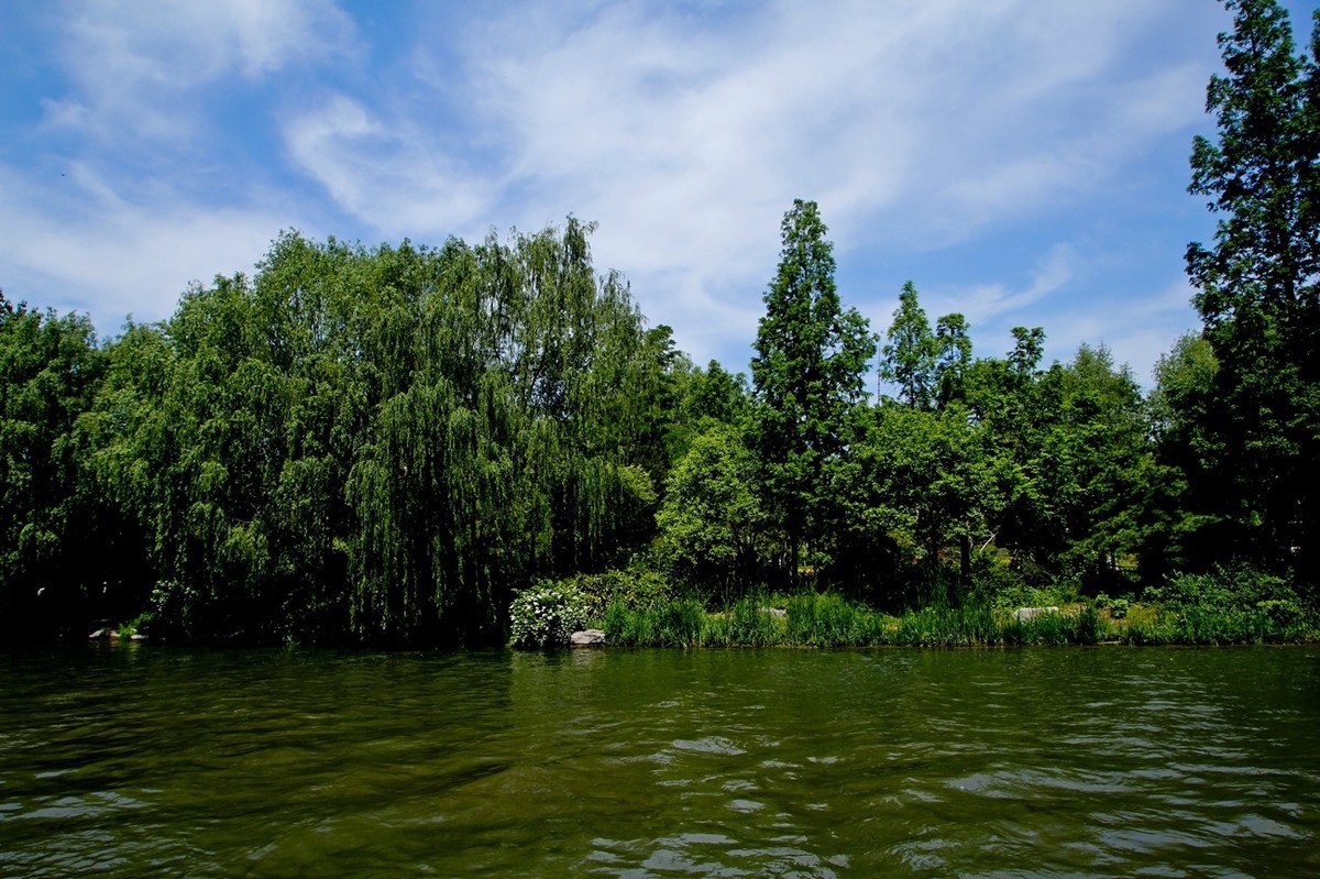 暮春——假日明湖