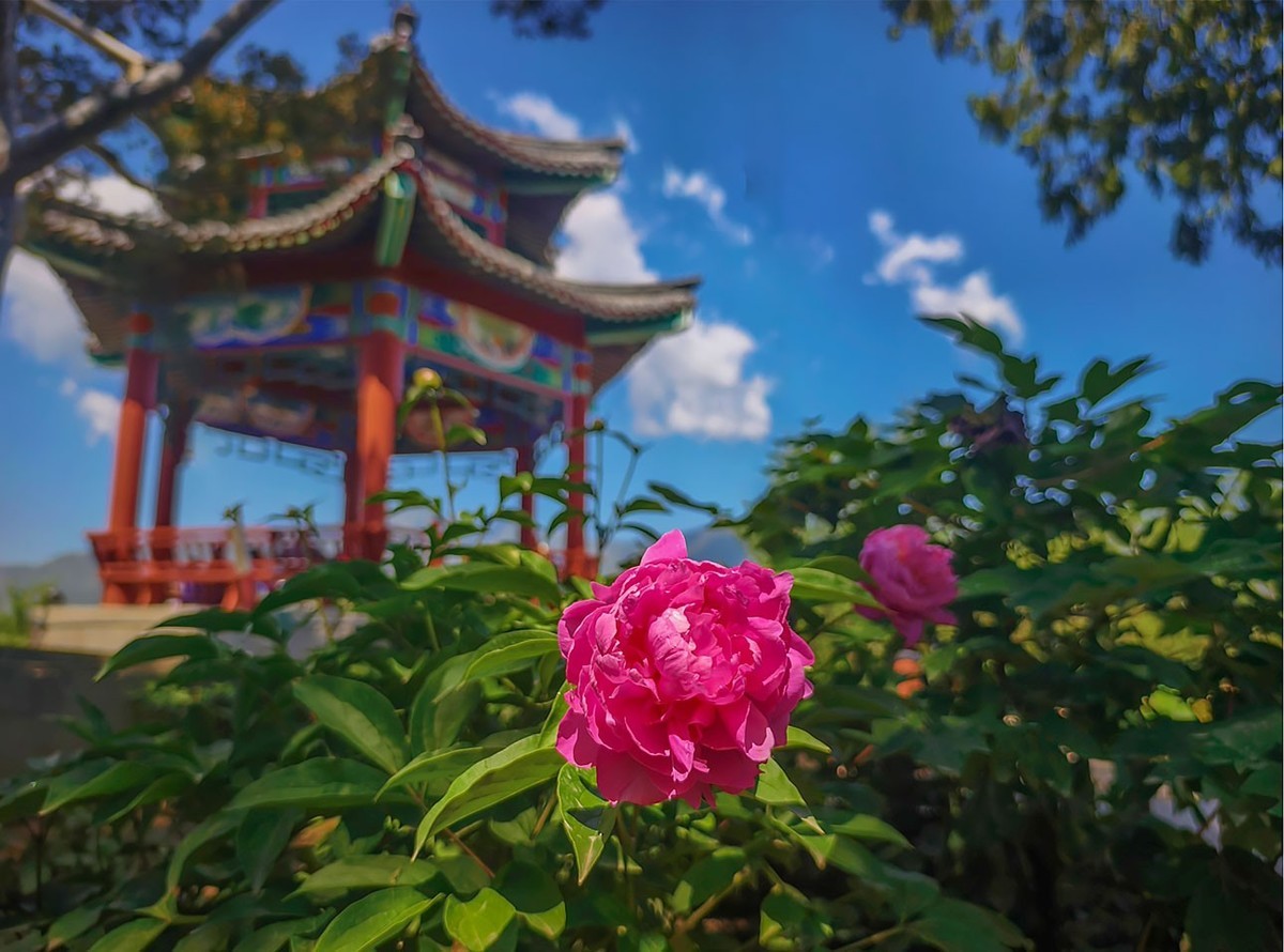 难得艳阳天（中）