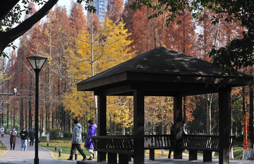 成都市 观音桥 沙河边         周鸣天