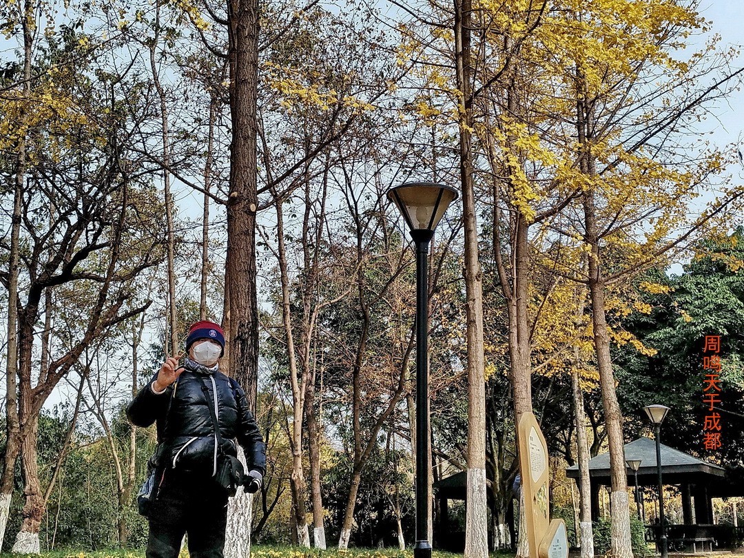 成都市 观音桥 沙河边         周鸣天