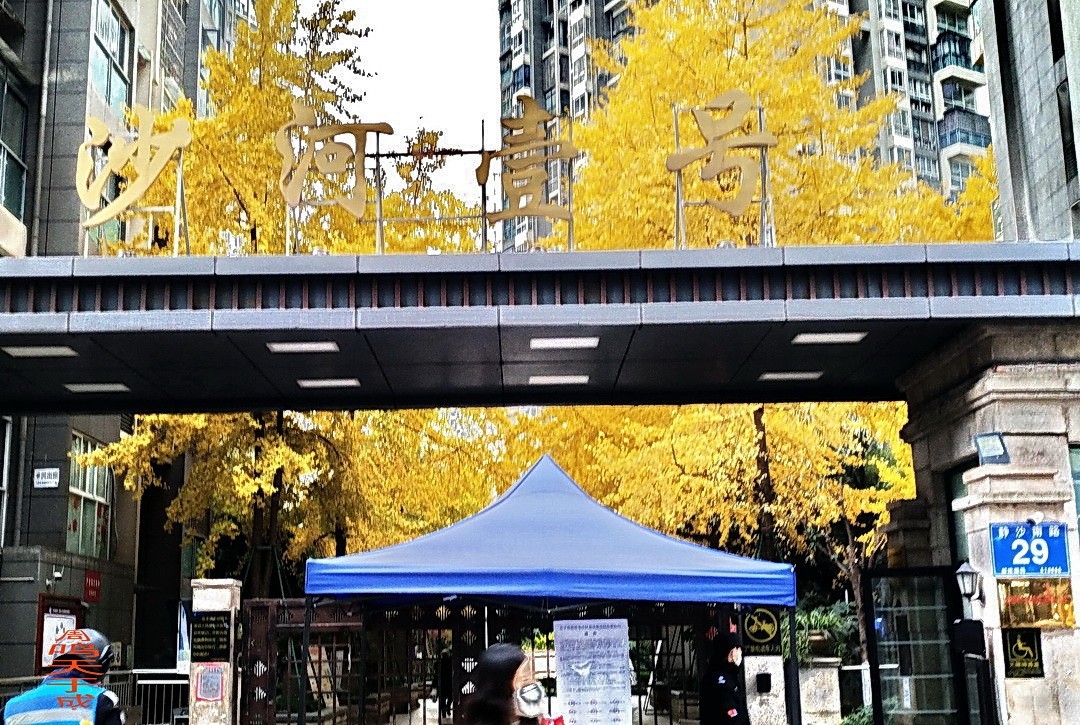 成都市 观音桥 沙河边         周鸣天