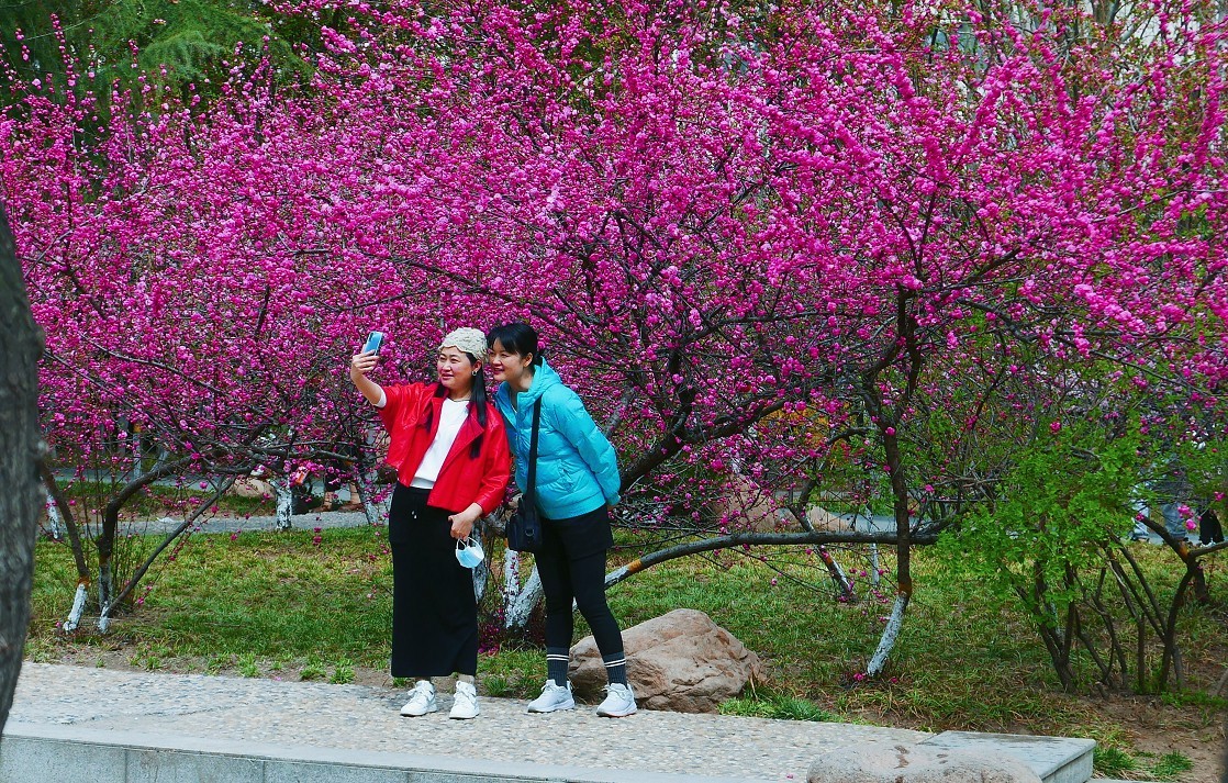 典型的街拍抓拍《风景，花草，白猫当然有妹子了》啥都有！哈哈！