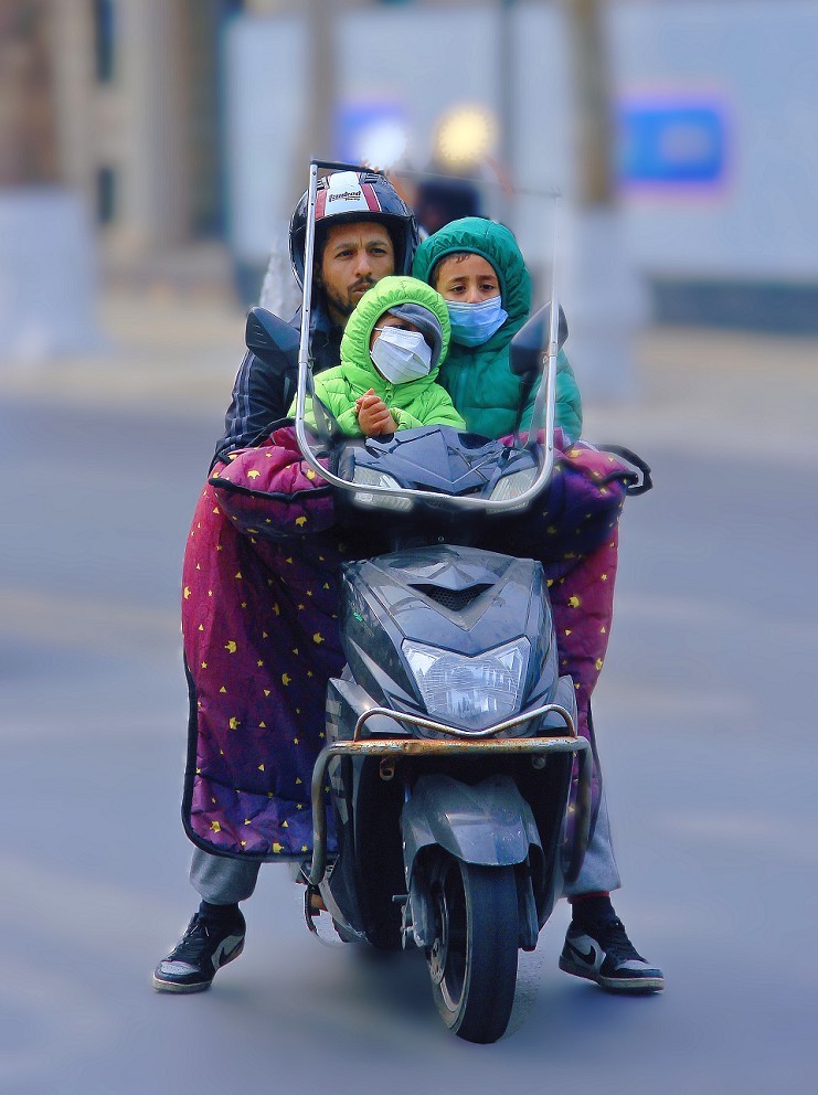 典型的街拍抓拍《风景，花草，白猫当然有妹子了》啥都有！哈哈！