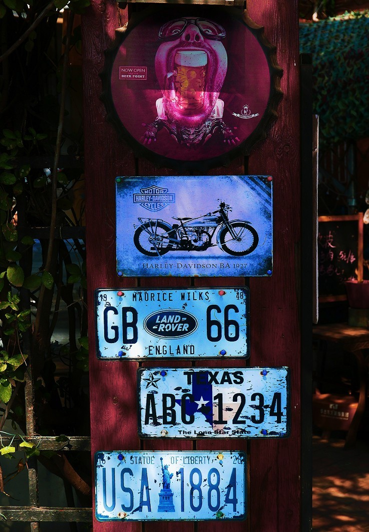 典型的街拍抓拍《风景，花草，白猫当然有妹子了》啥都有！哈哈！