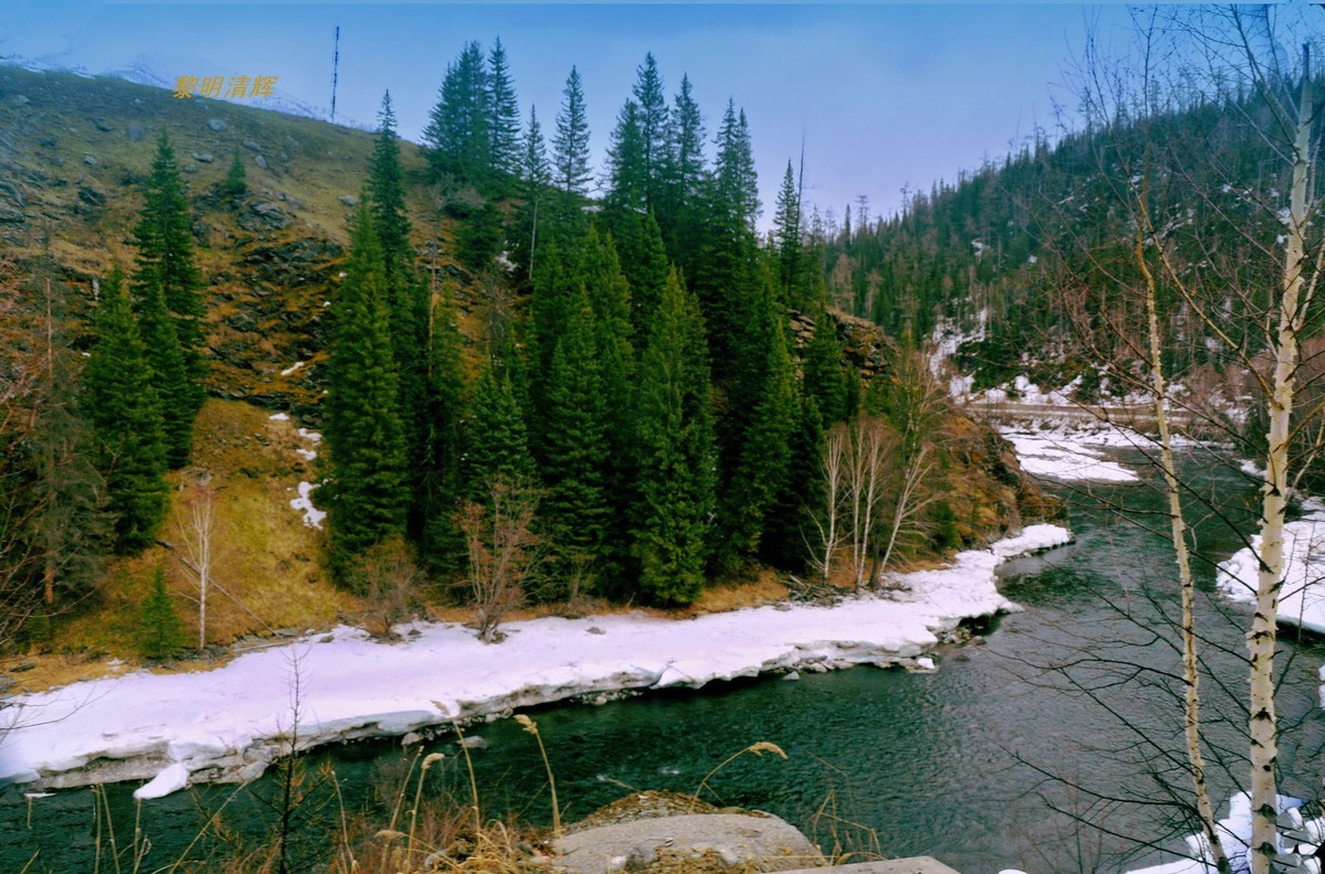 早春北疆之旅（47）：喀纳斯景区—3