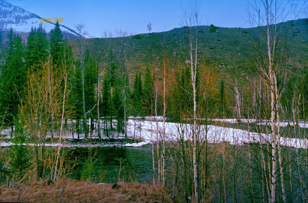 早春北疆之旅（47）：喀纳斯景区—3