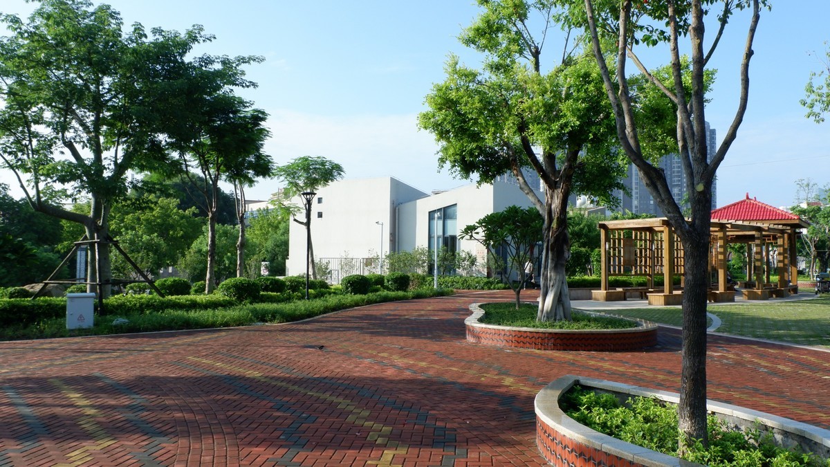 美丽的集美湾海边风光摄影机-26