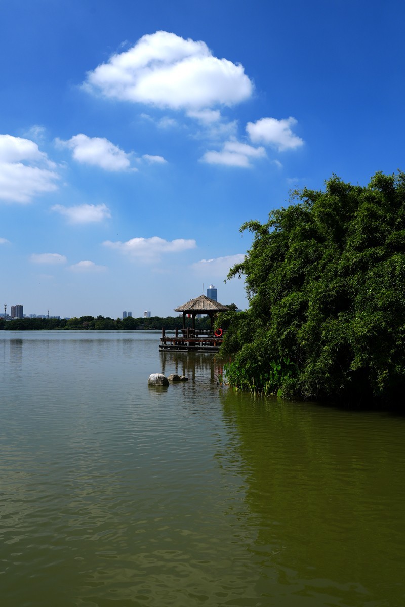 海珠湖随拍（13）