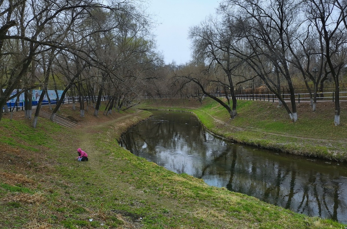 淡绿朦胧---4.20哈尔滨黛秀植物园   1/2