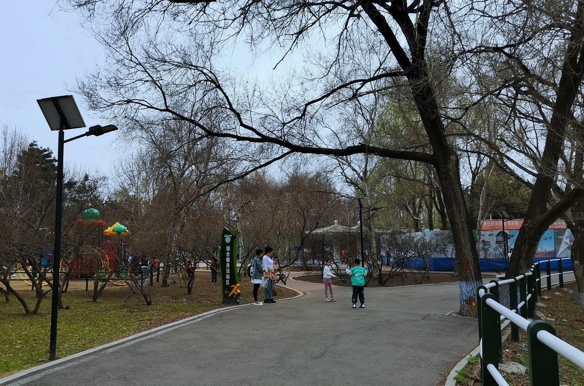 淡绿朦胧---4.20哈尔滨黛秀植物园   1/2