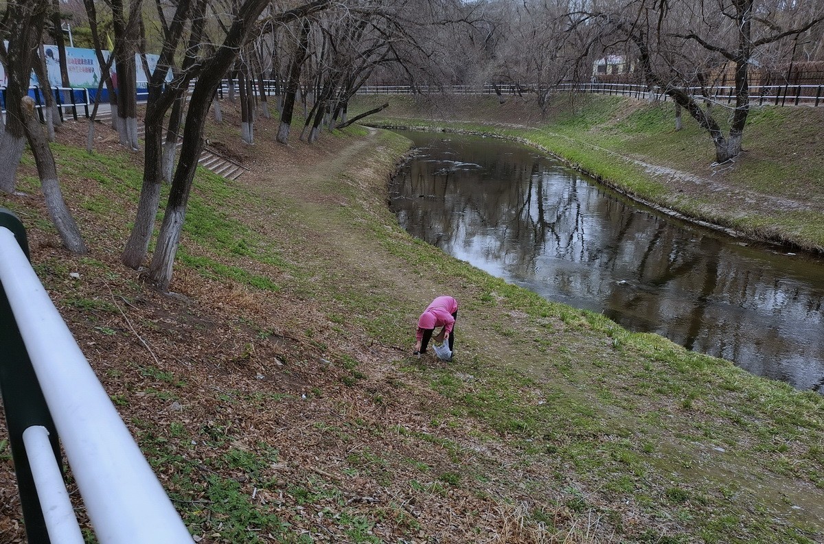 淡绿朦胧---4.20哈尔滨黛秀植物园   1/2