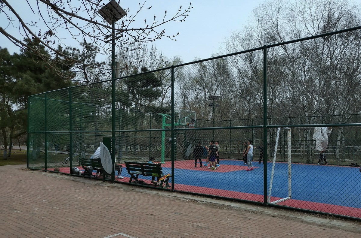 淡绿朦胧---4.20哈尔滨黛秀植物园   1/2