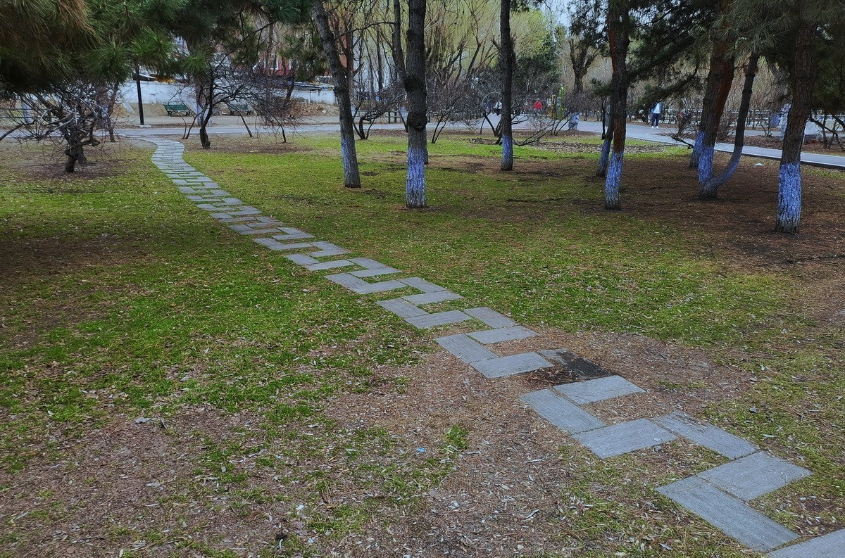 淡绿朦胧---4.20哈尔滨黛秀植物园   1/2