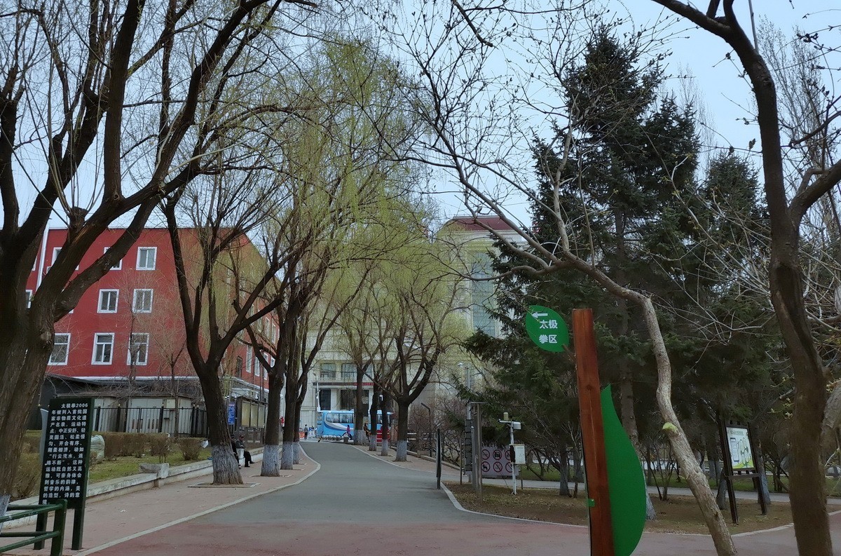 淡绿朦胧---4.20哈尔滨黛秀植物园   1/2