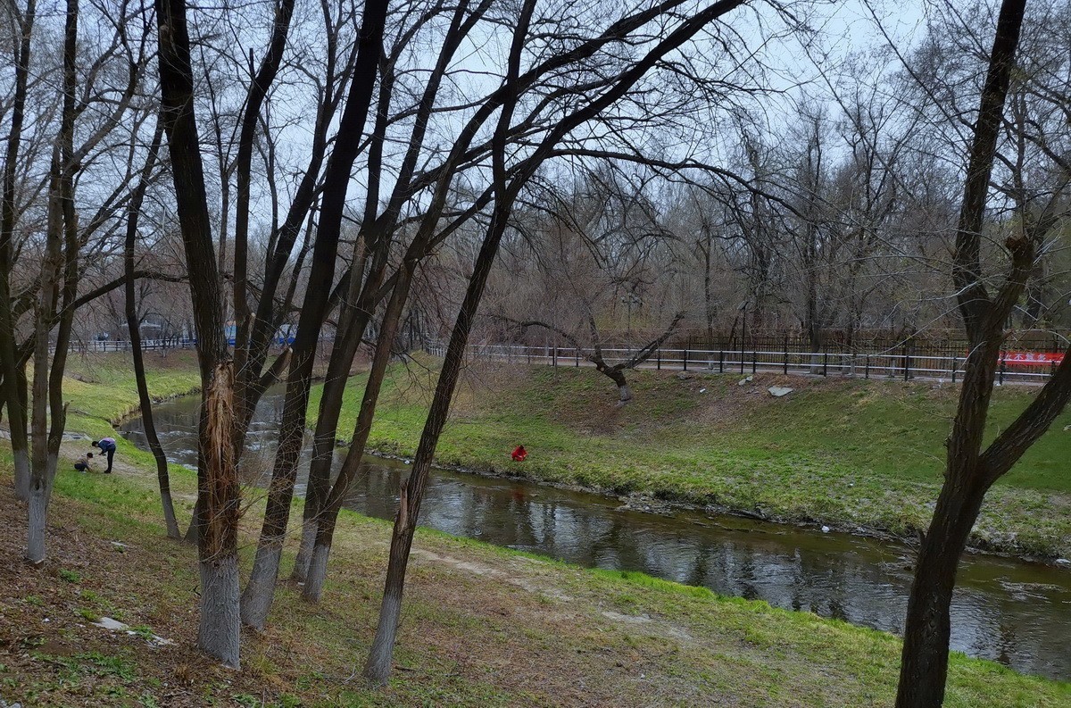 4.20日哈尔滨黛秀植物园---淡绿朦胧    1/2