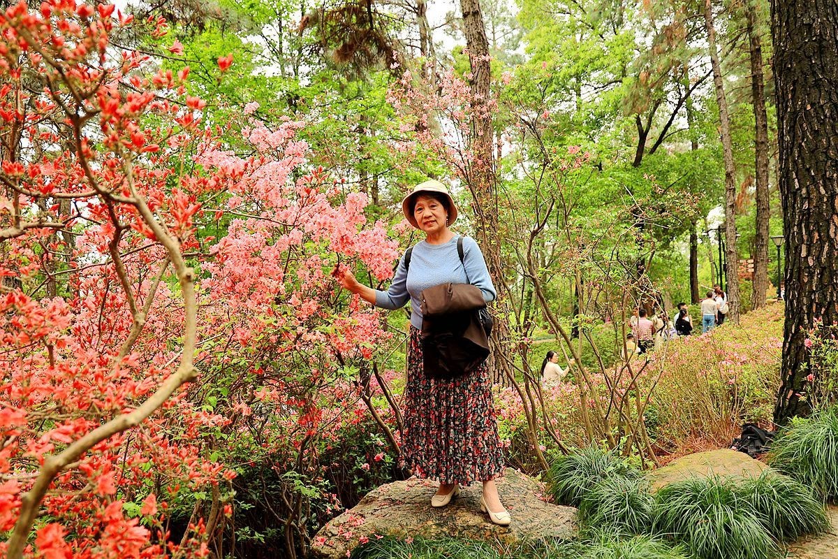 老婆婆逛杜鹃园