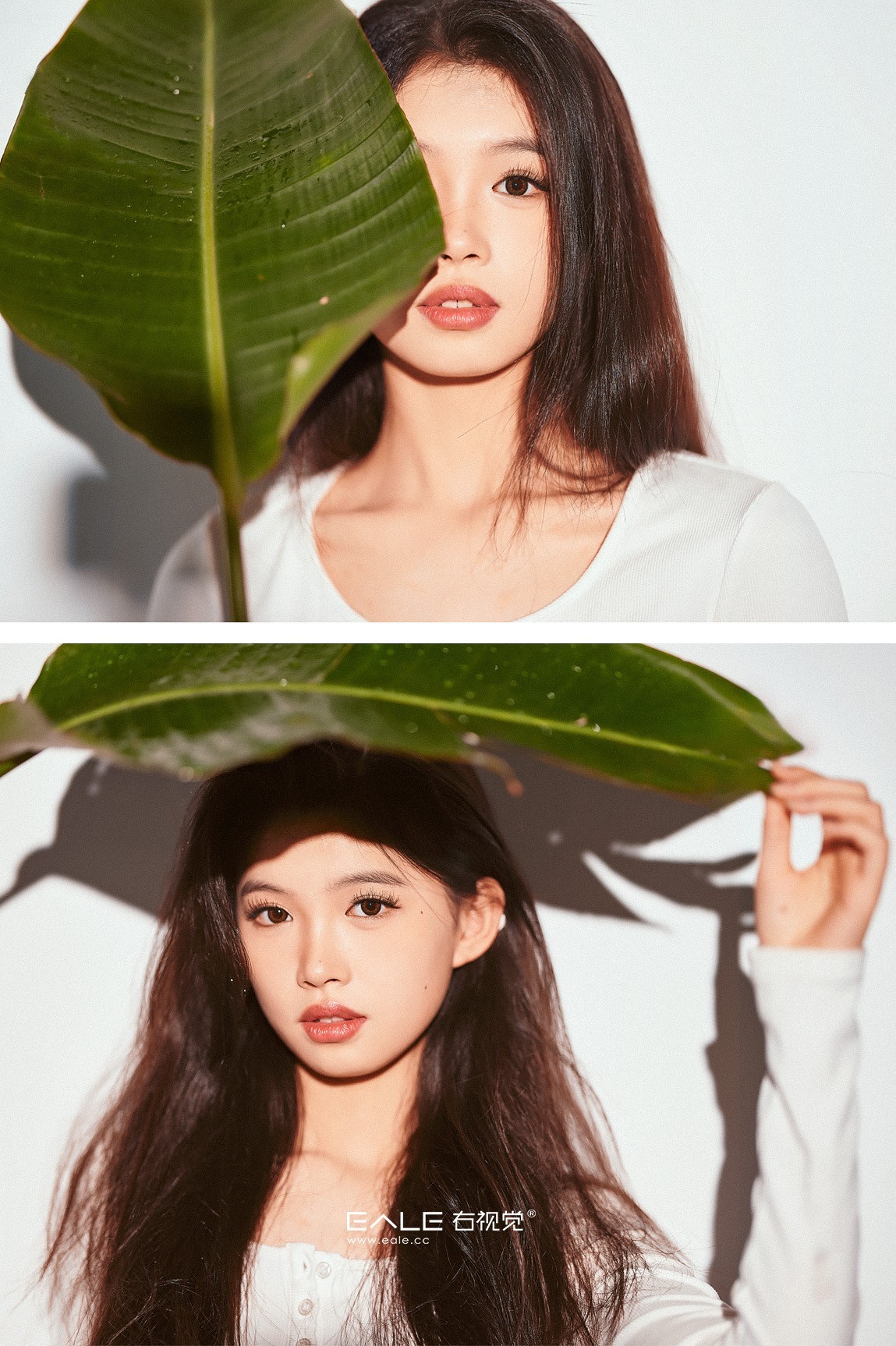 【右视觉摄影】清风 绿叶与雨丝  有灵魂的见组照