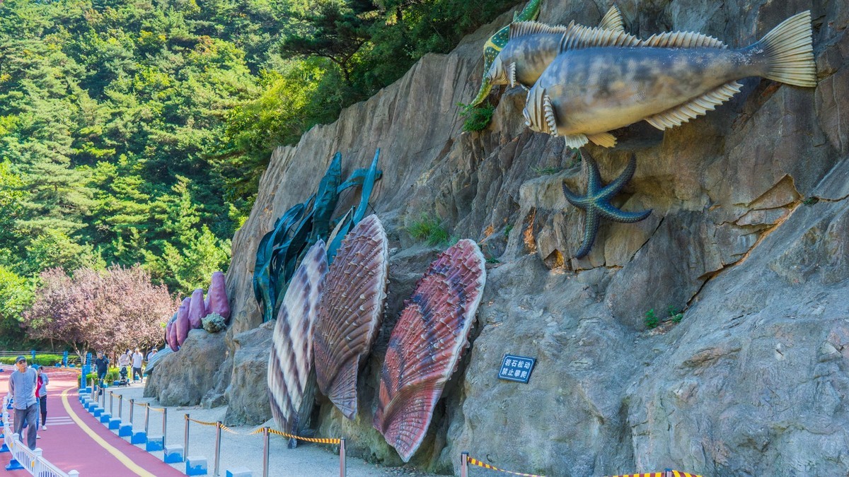 大 连 海 之 韵 十 八 盘