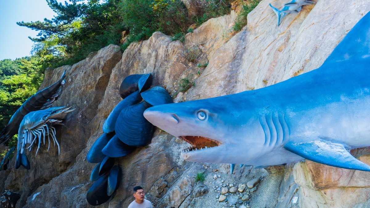 大 连 海 之 韵 十 八 盘