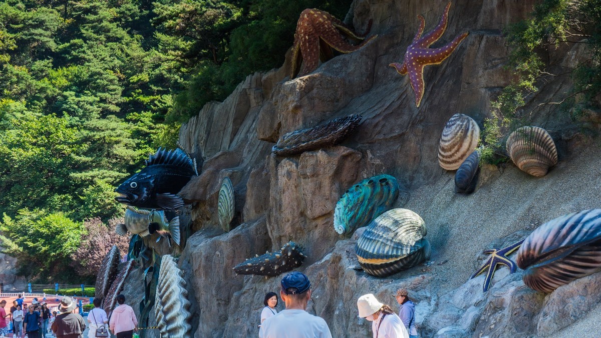 大 连 海 之 韵 十 八 盘