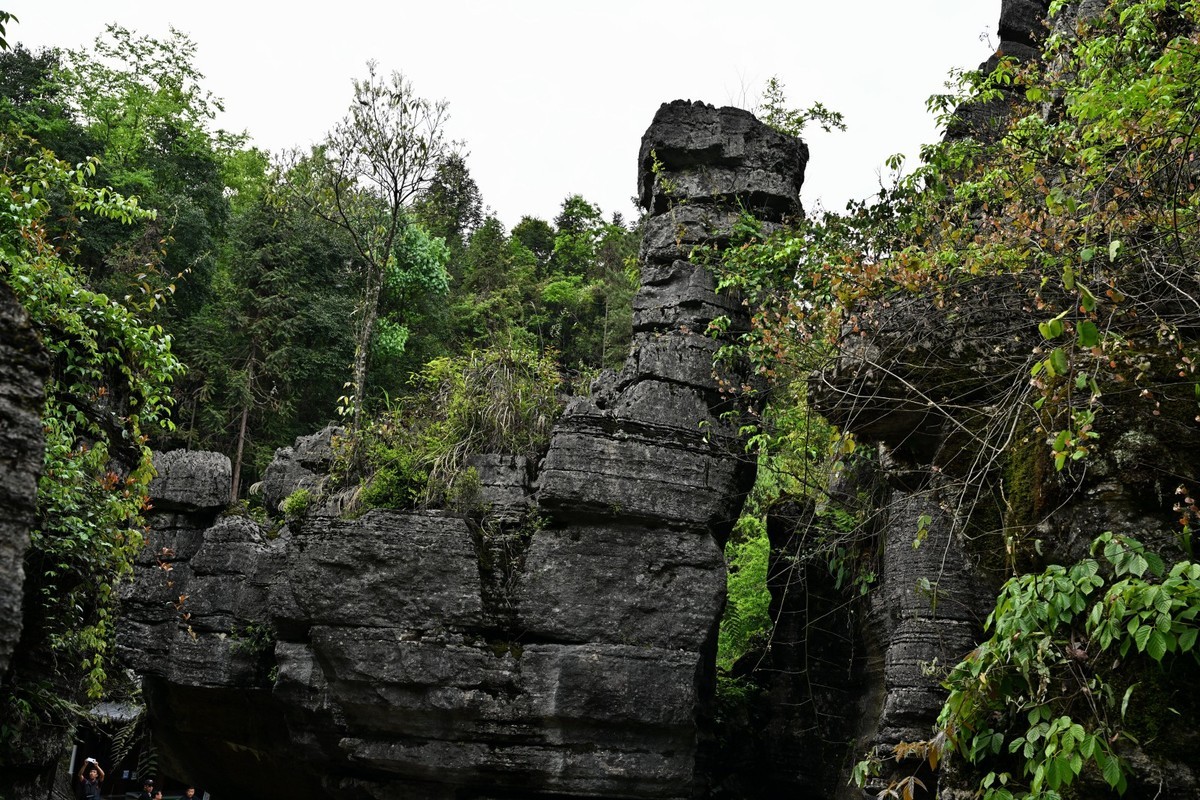 湖北游/恩施大峡谷梭布垭石林（5）