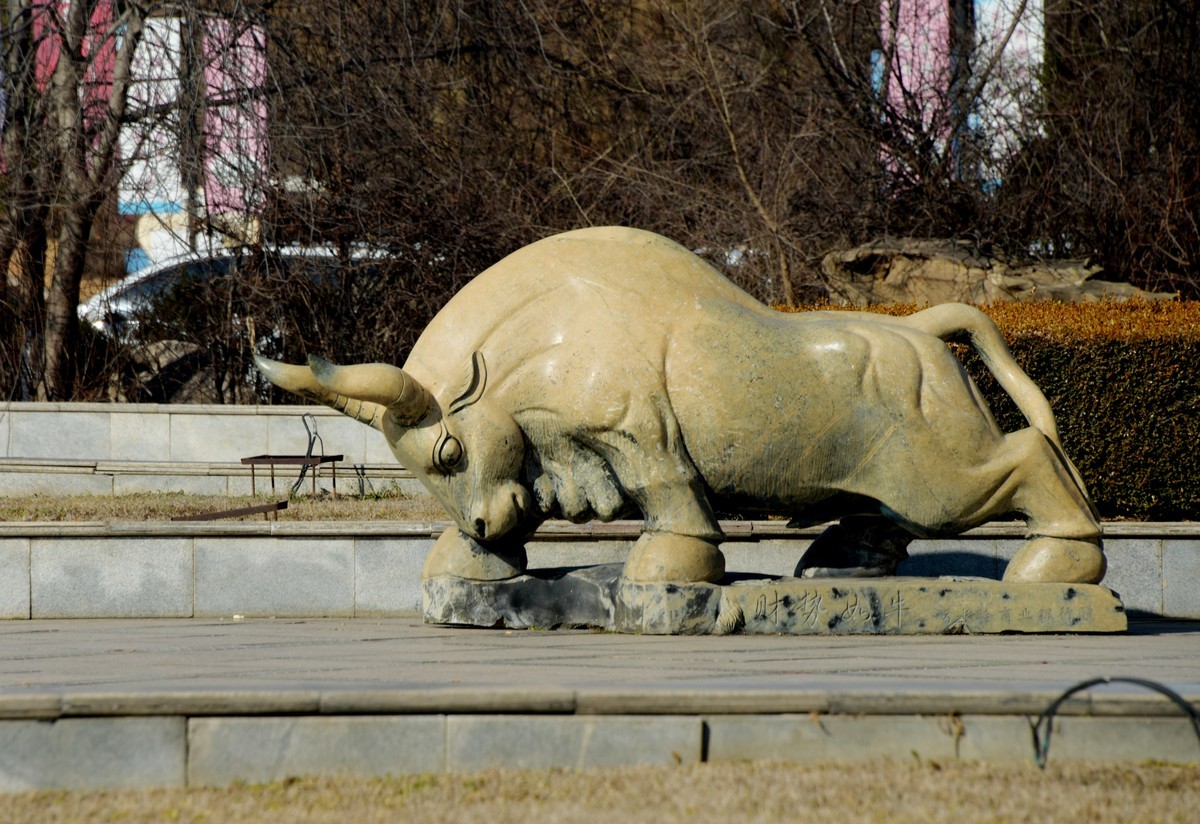 初冬拍“假日”外景