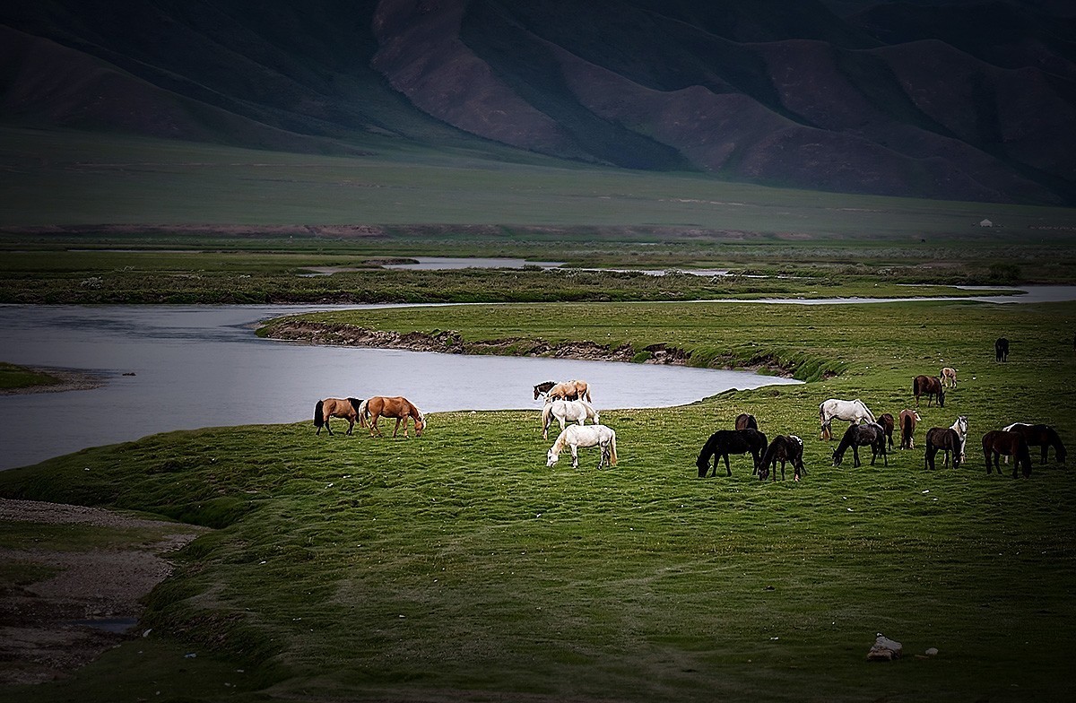迷恋巴音布鲁克大草原-2022新疆独库公路自驾游见闻之三