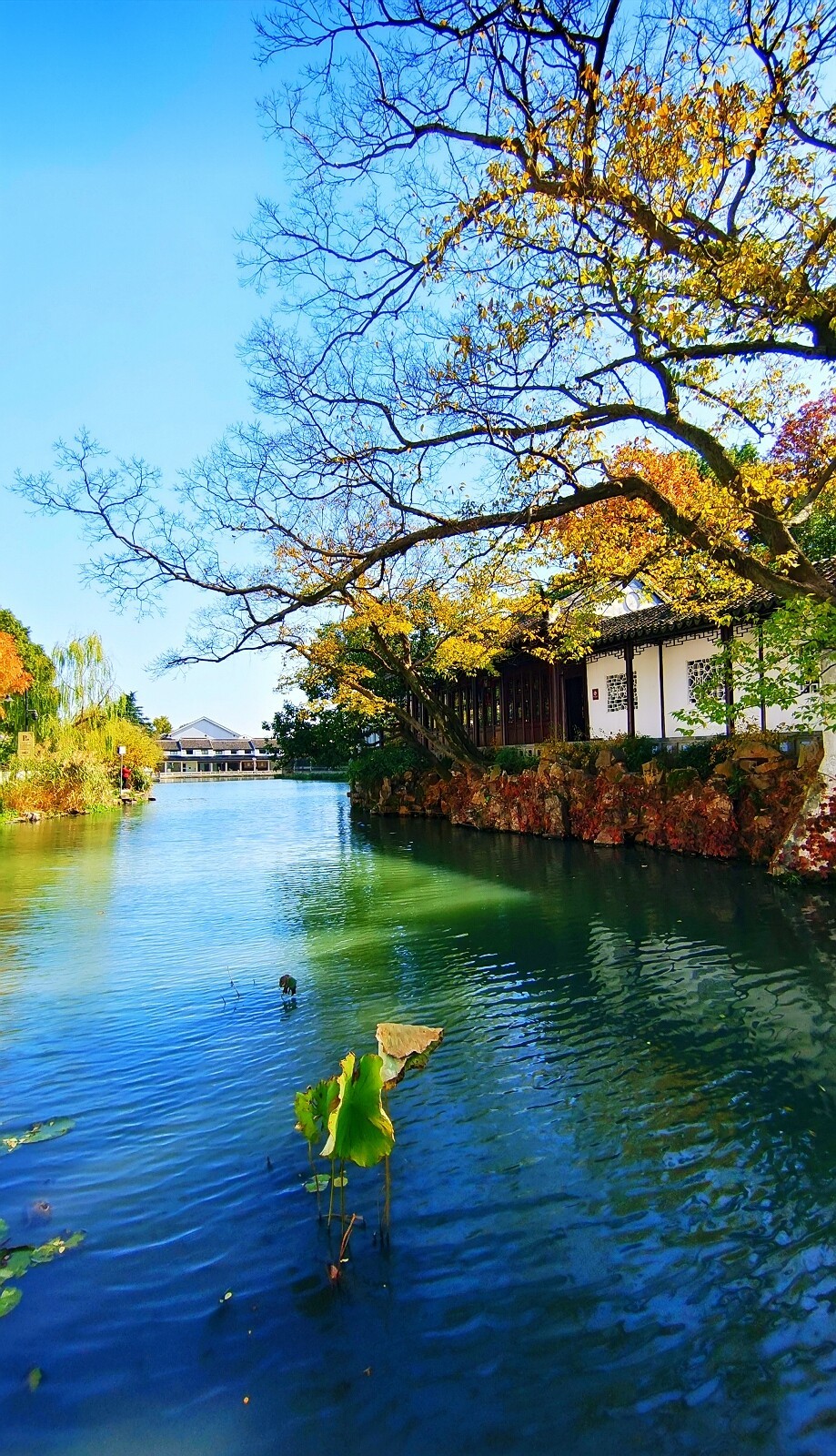 景观 / 苏州 2020 ~ 2021