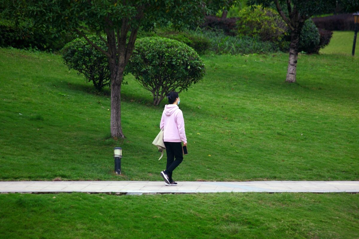 疫情封控中，只能在小区内随拍（七）