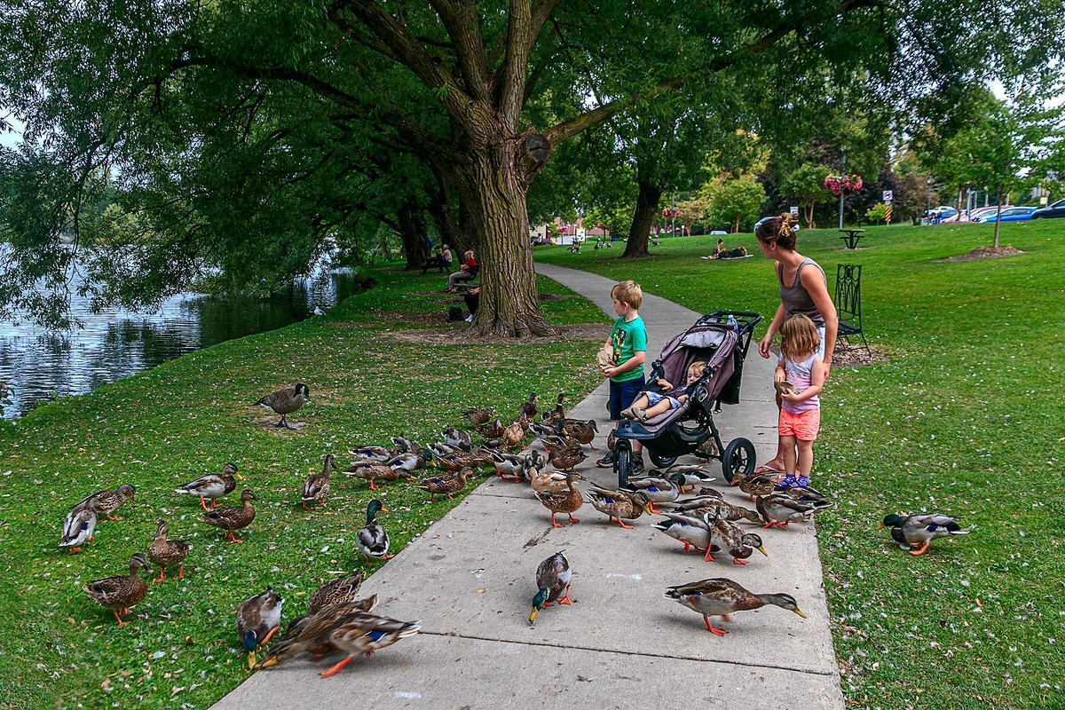 加拿大、美国游记（125）：（加）安大略 · 坡斯 · 斯特拉福德镇