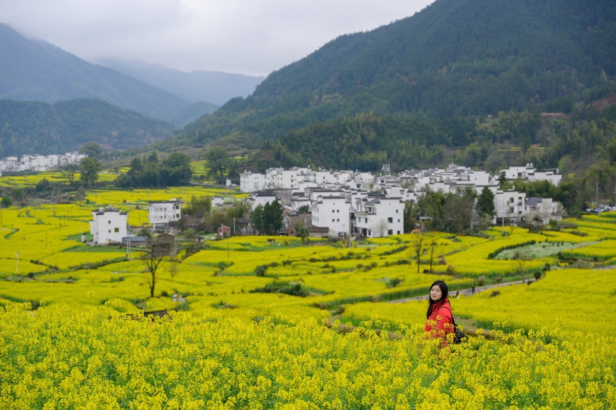 婺源之旅（时隔7年终于拍到油菜花了）