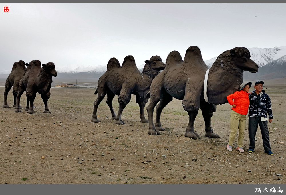 【甘青大环线】18.走上青藏高原眺望巍巍昆仑