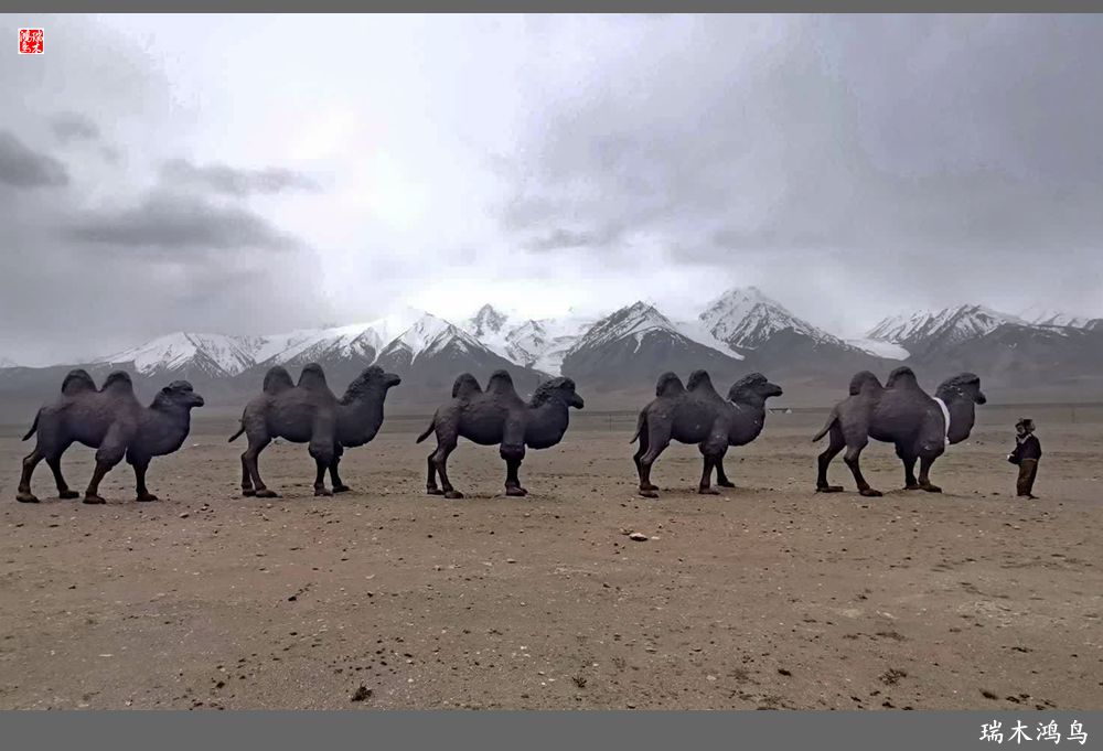 【甘青大环线】18.走上青藏高原眺望巍巍昆仑