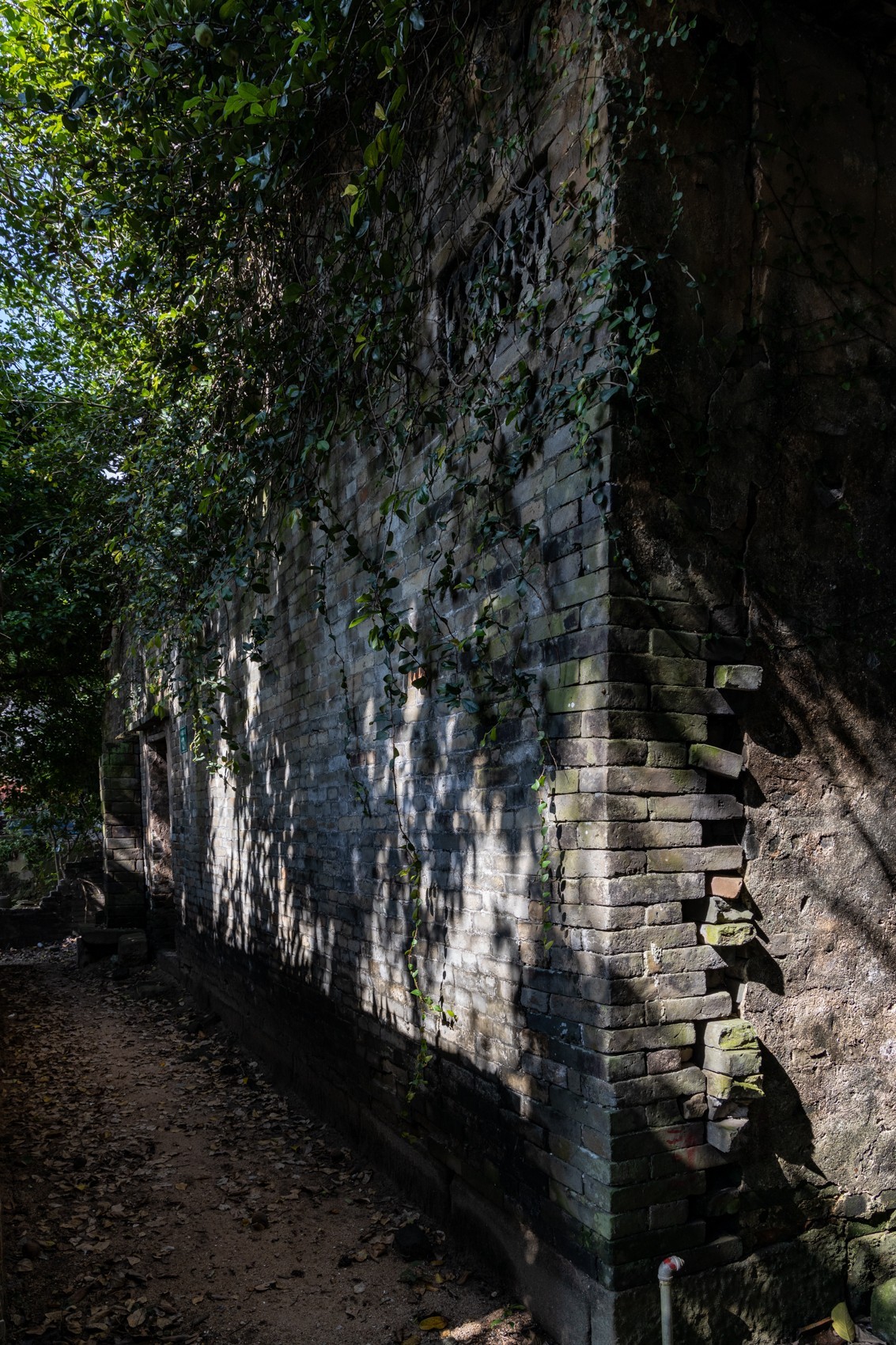 大岭古村（十一）