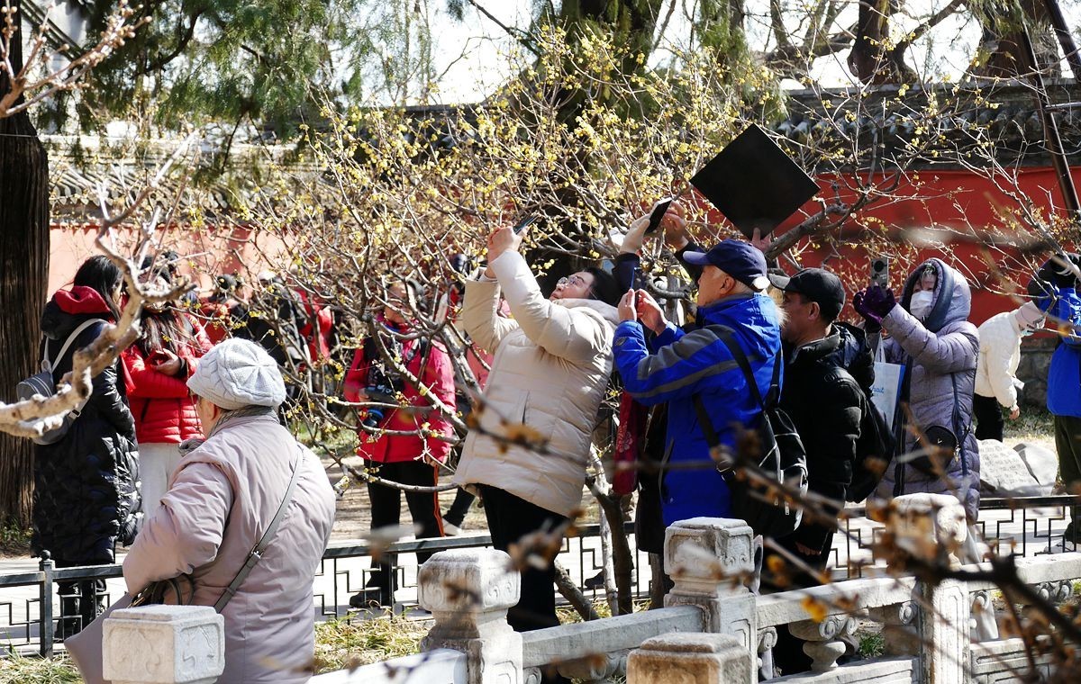 初春的卧佛寺【上】
