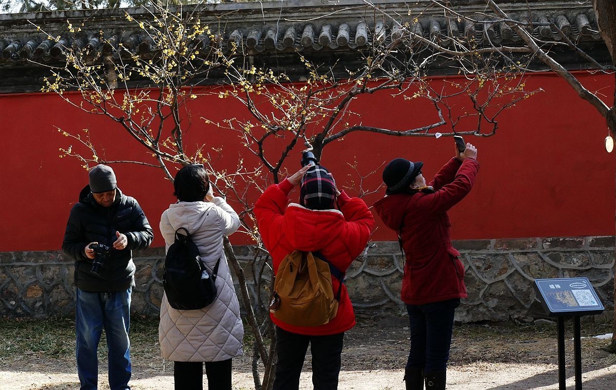 初春的卧佛寺【上】