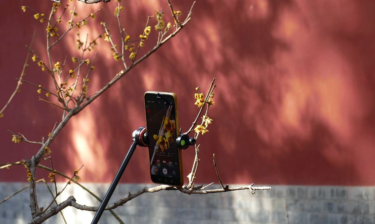 初春的卧佛寺【上】