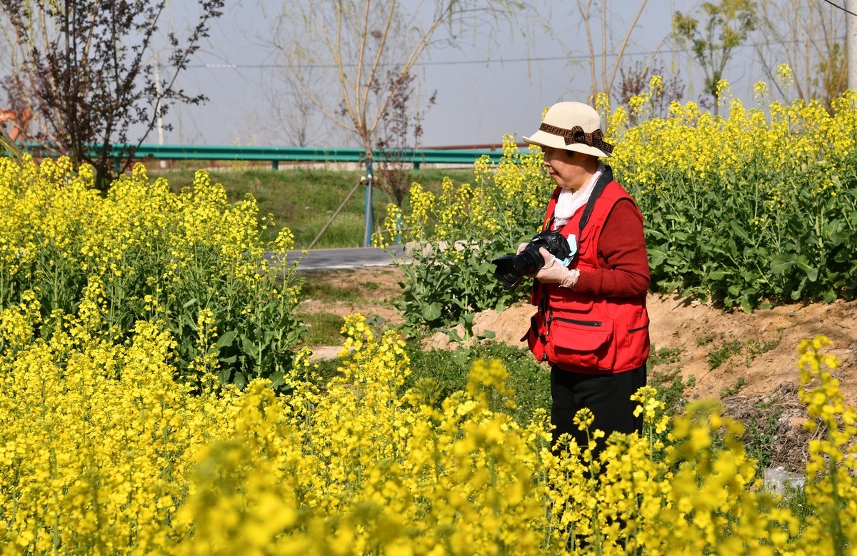 花香吸引摄影爱好者