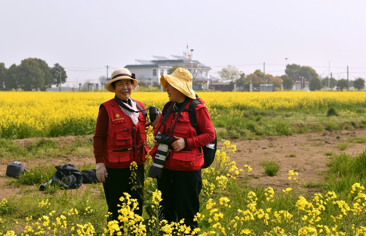 花香吸引摄影爱好者