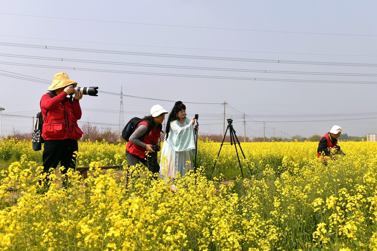花香吸引摄影爱好者