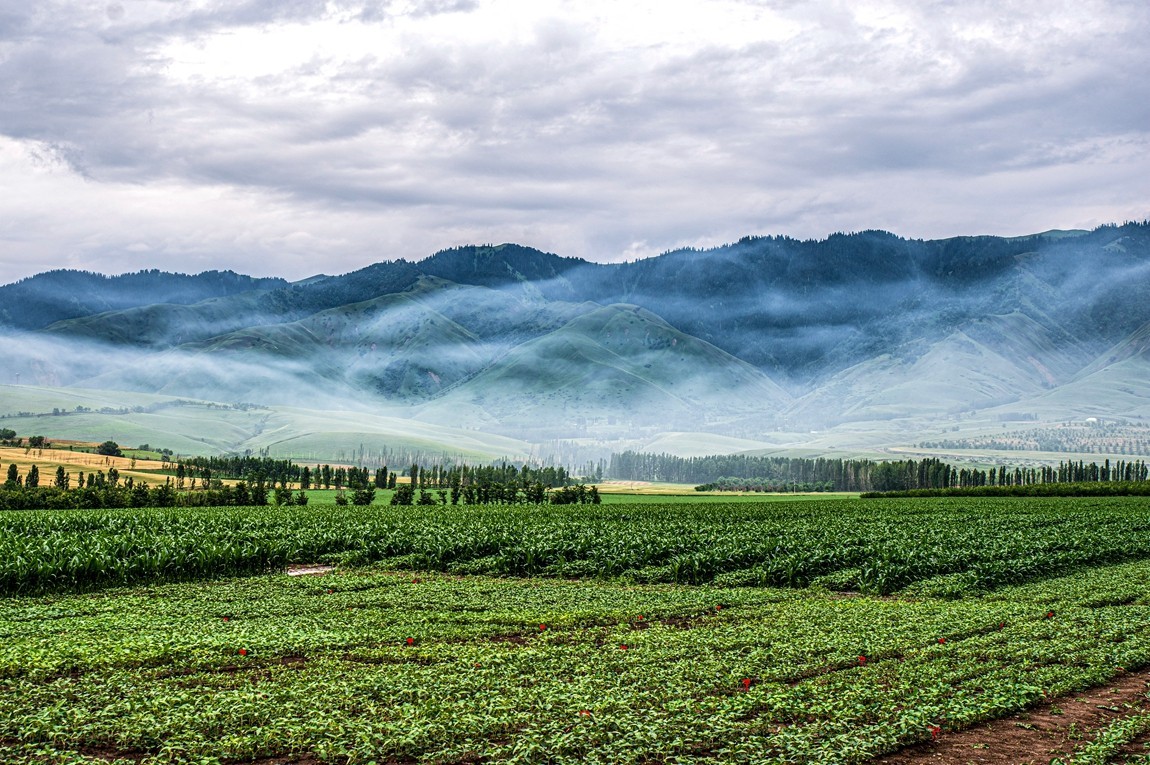 那拉提河谷草原【4】