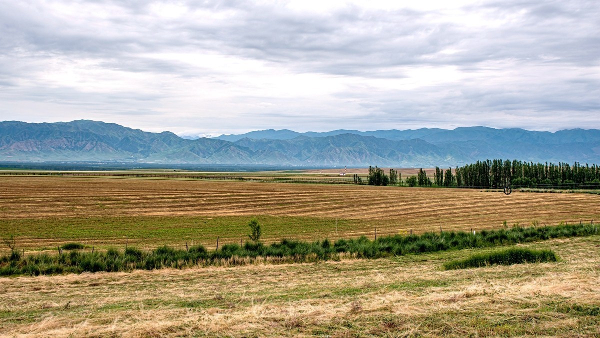 那拉提河谷草原【4】