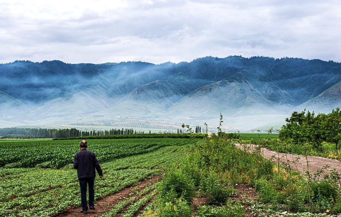 那拉提河谷草原【4】