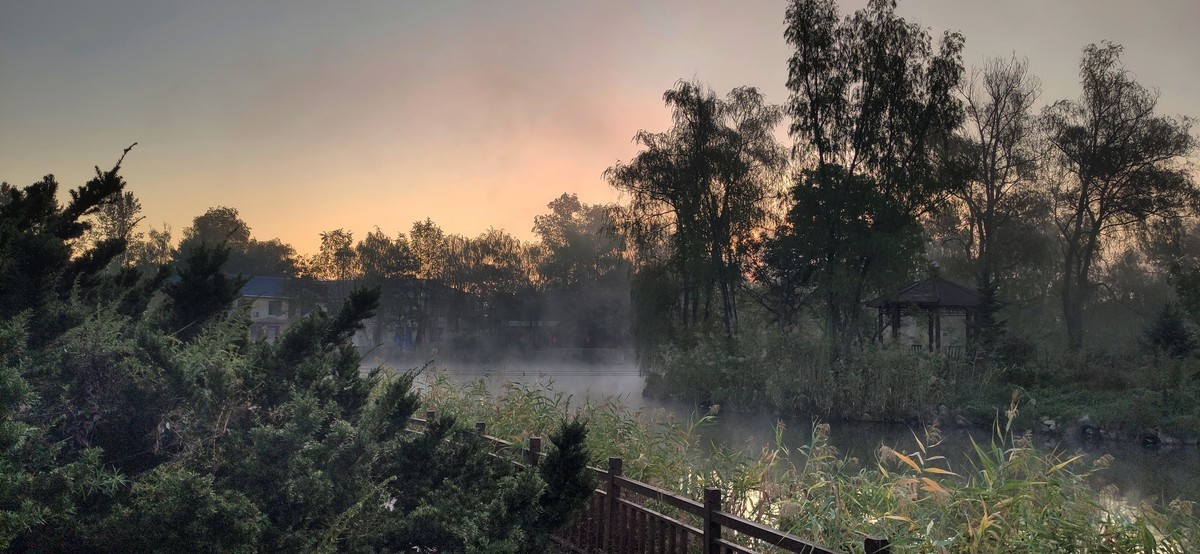 晨雾中的的公园