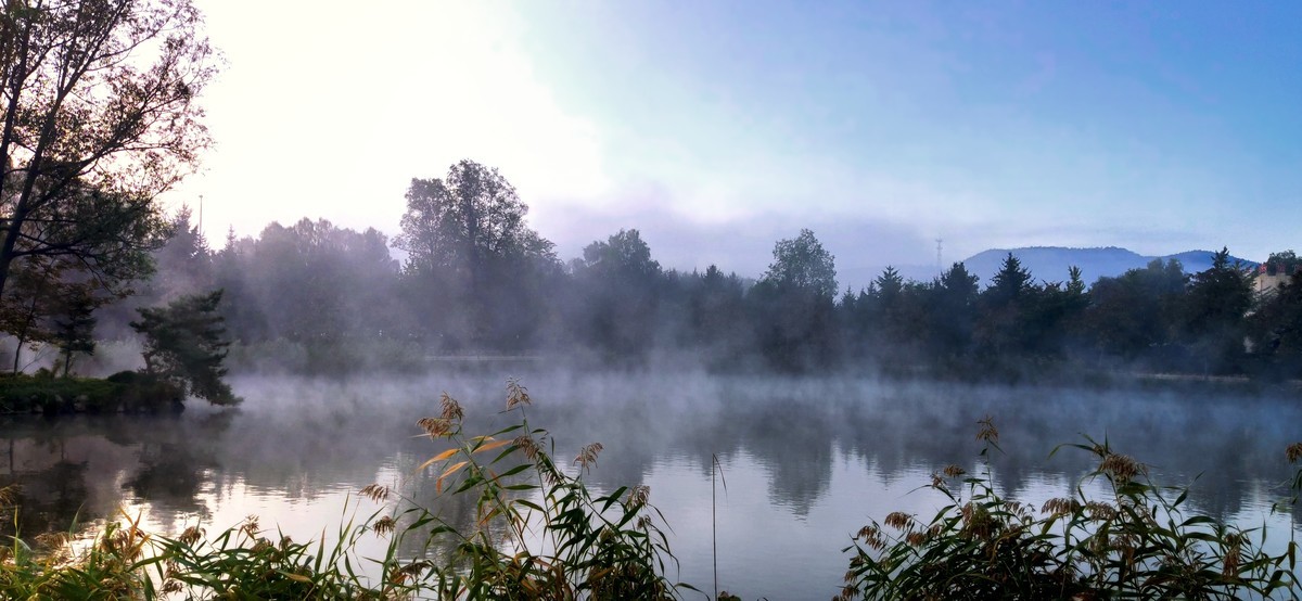 晨雾中的的公园
