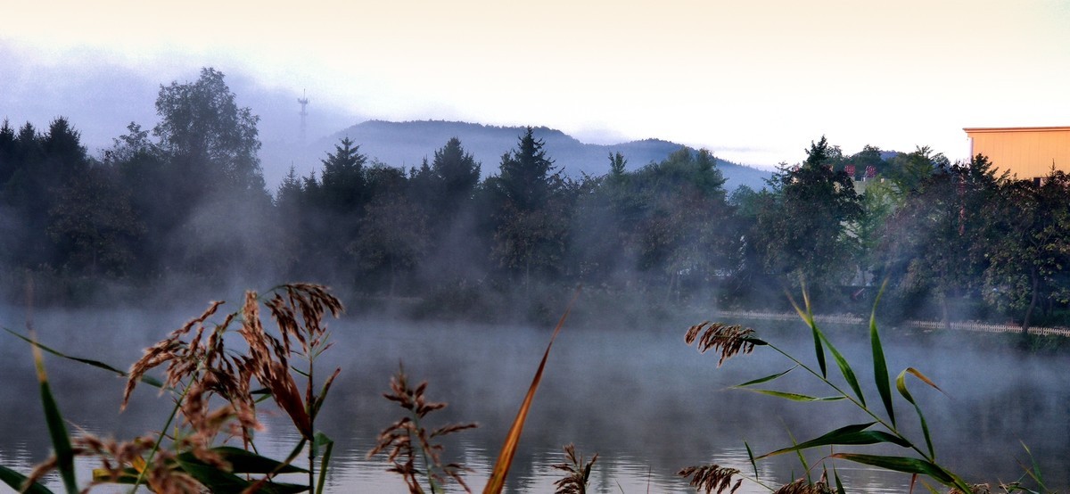 晨雾中的的公园