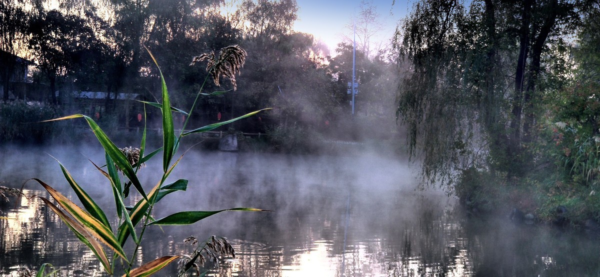 晨雾中的的公园