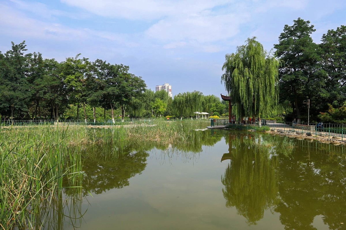 溜达随手拍着玩