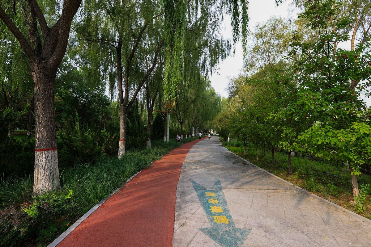 溜达随手拍着玩