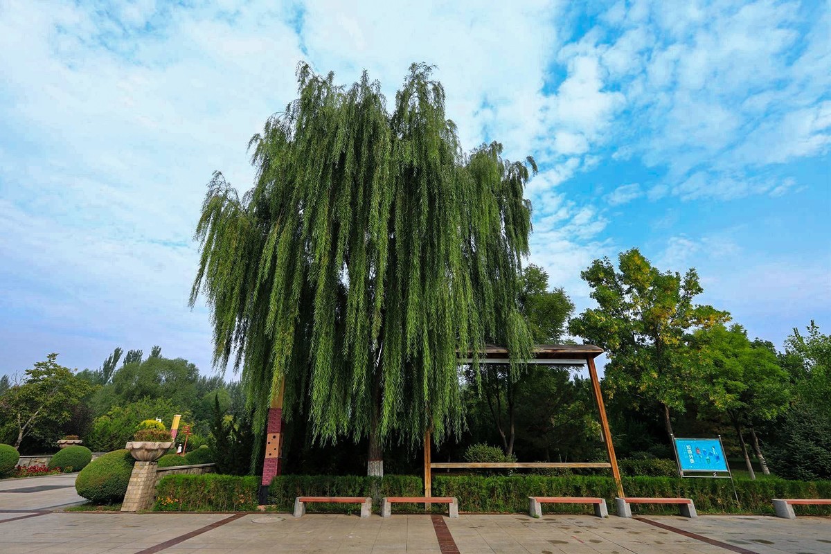 溜达随手拍着玩